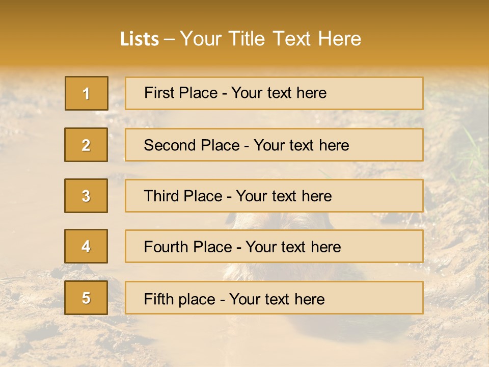 A Dog In A Muddy Puddle Of Water Powerpoint Template PowerPoint Template