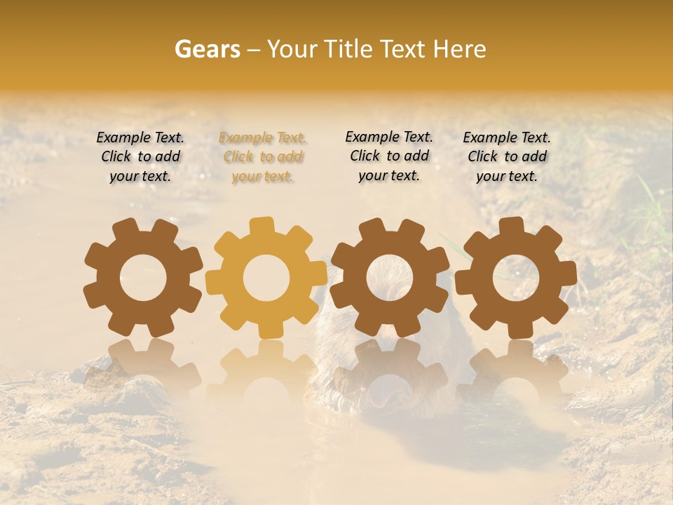 A Dog In A Muddy Puddle Of Water Powerpoint Template PowerPoint Template