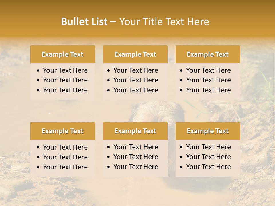 A Dog In A Muddy Puddle Of Water Powerpoint Template PowerPoint Template