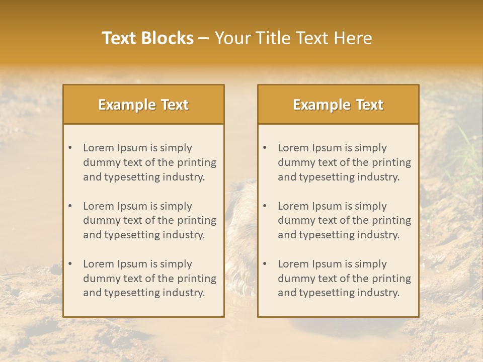 A Dog In A Muddy Puddle Of Water Powerpoint Template PowerPoint Template