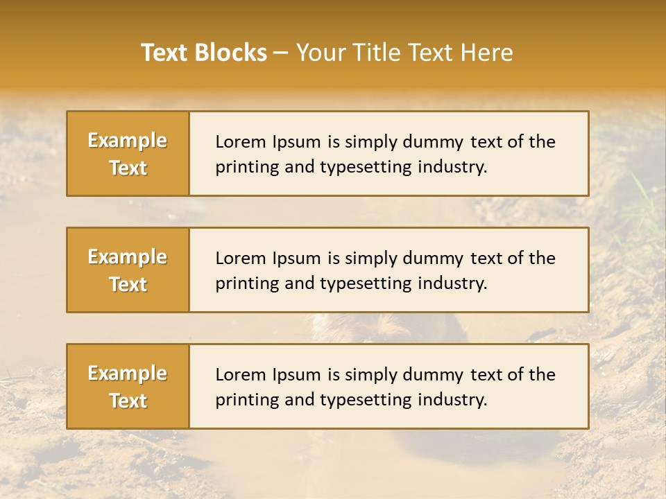 A Dog In A Muddy Puddle Of Water Powerpoint Template PowerPoint Template