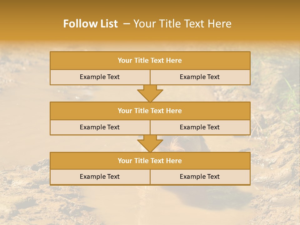 A Dog In A Muddy Puddle Of Water Powerpoint Template PowerPoint Template