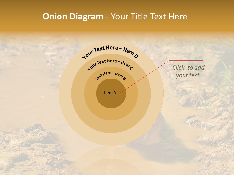 A Dog In A Muddy Puddle Of Water Powerpoint Template PowerPoint Template