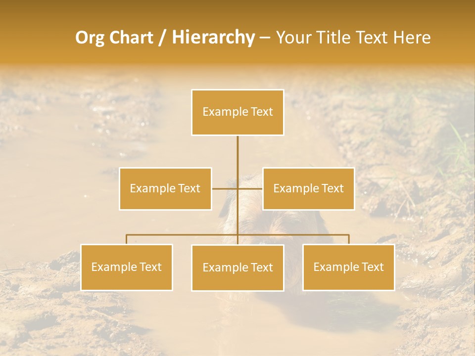 A Dog In A Muddy Puddle Of Water Powerpoint Template PowerPoint Template