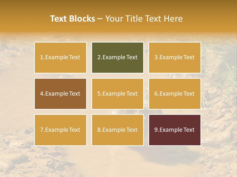 A Dog In A Muddy Puddle Of Water Powerpoint Template PowerPoint Template