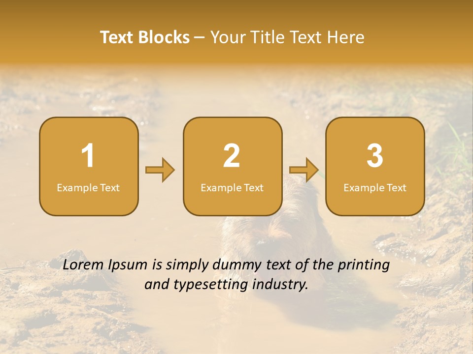 A Dog In A Muddy Puddle Of Water Powerpoint Template PowerPoint Template