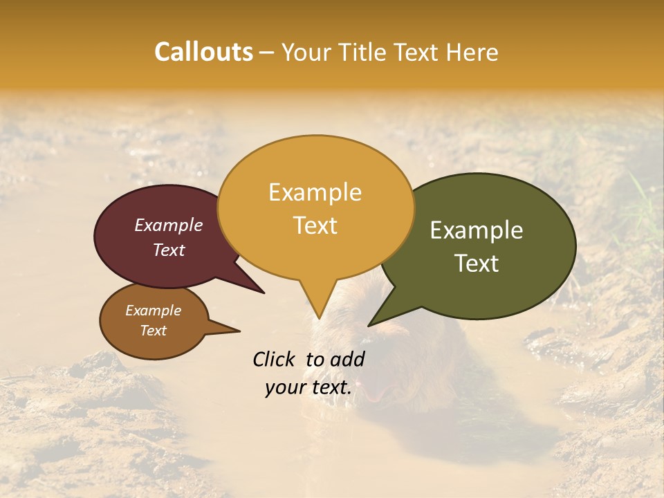 A Dog In A Muddy Puddle Of Water Powerpoint Template PowerPoint Template