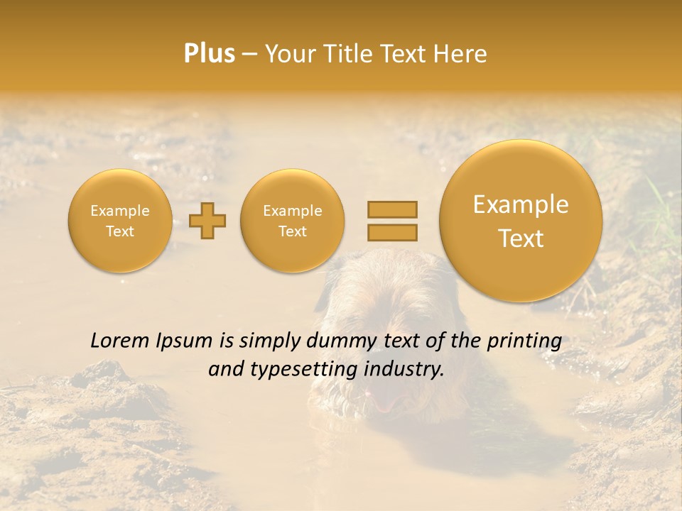 A Dog In A Muddy Puddle Of Water Powerpoint Template PowerPoint Template