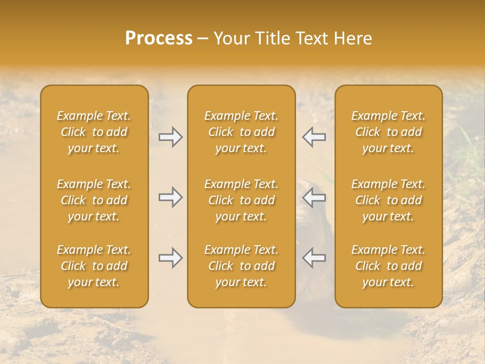 A Dog In A Muddy Puddle Of Water Powerpoint Template PowerPoint Template