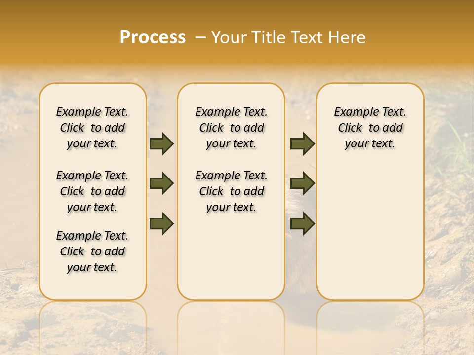 A Dog In A Muddy Puddle Of Water Powerpoint Template PowerPoint Template