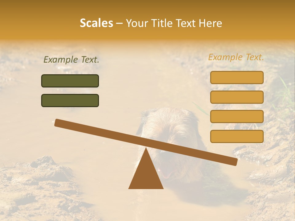 A Dog In A Muddy Puddle Of Water Powerpoint Template PowerPoint Template