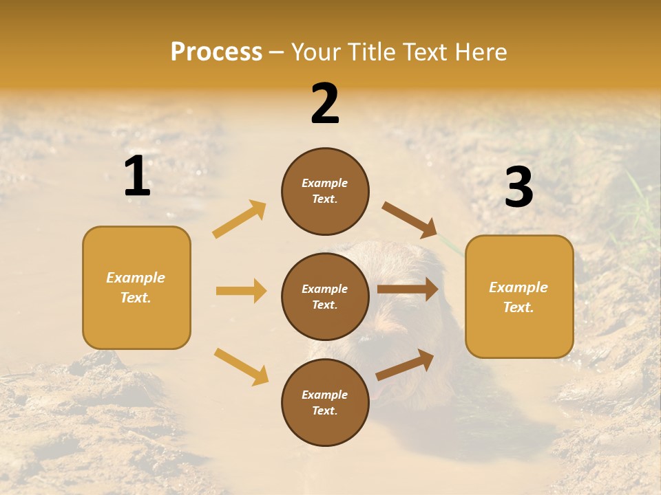 A Dog In A Muddy Puddle Of Water Powerpoint Template PowerPoint Template