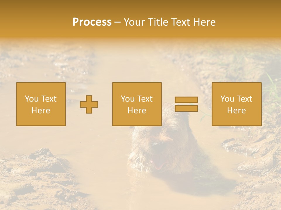 A Dog In A Muddy Puddle Of Water Powerpoint Template PowerPoint Template