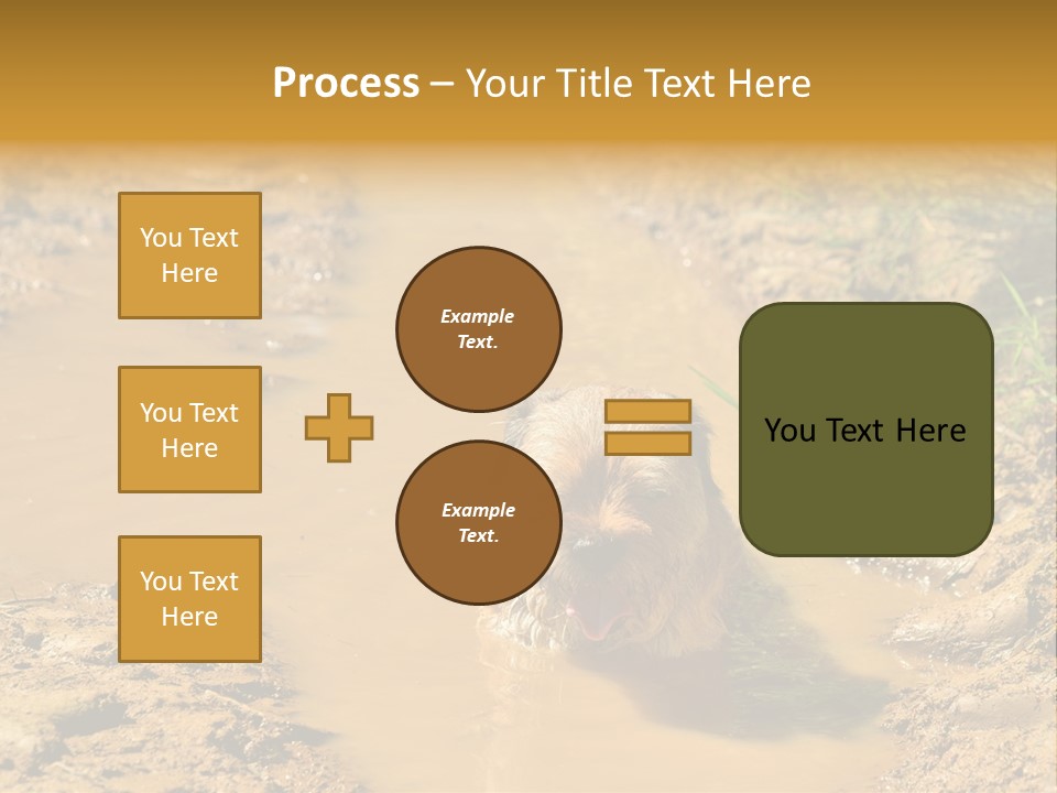 A Dog In A Muddy Puddle Of Water Powerpoint Template PowerPoint Template