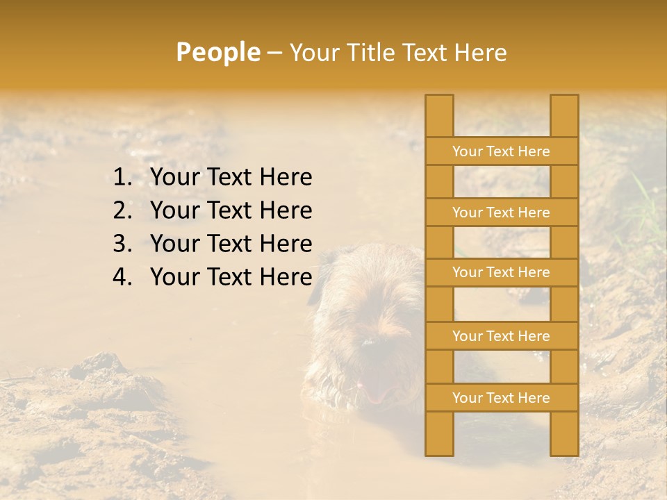 A Dog In A Muddy Puddle Of Water Powerpoint Template PowerPoint Template