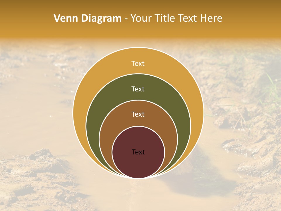 A Dog In A Muddy Puddle Of Water Powerpoint Template PowerPoint Template
