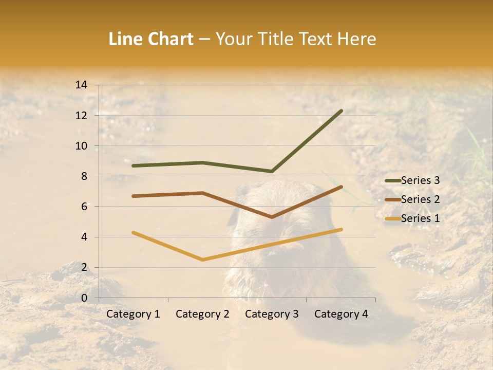A Dog In A Muddy Puddle Of Water Powerpoint Template PowerPoint Template