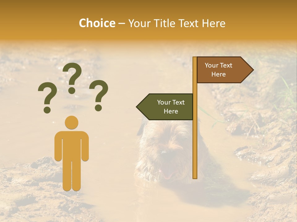 A Dog In A Muddy Puddle Of Water Powerpoint Template PowerPoint Template