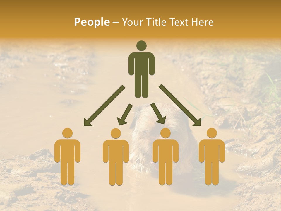 A Dog In A Muddy Puddle Of Water Powerpoint Template PowerPoint Template