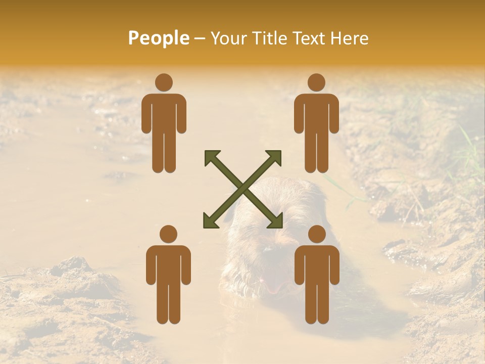 A Dog In A Muddy Puddle Of Water Powerpoint Template PowerPoint Template