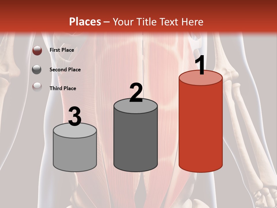 Sixpack Abdominal Anatomy PowerPoint Template