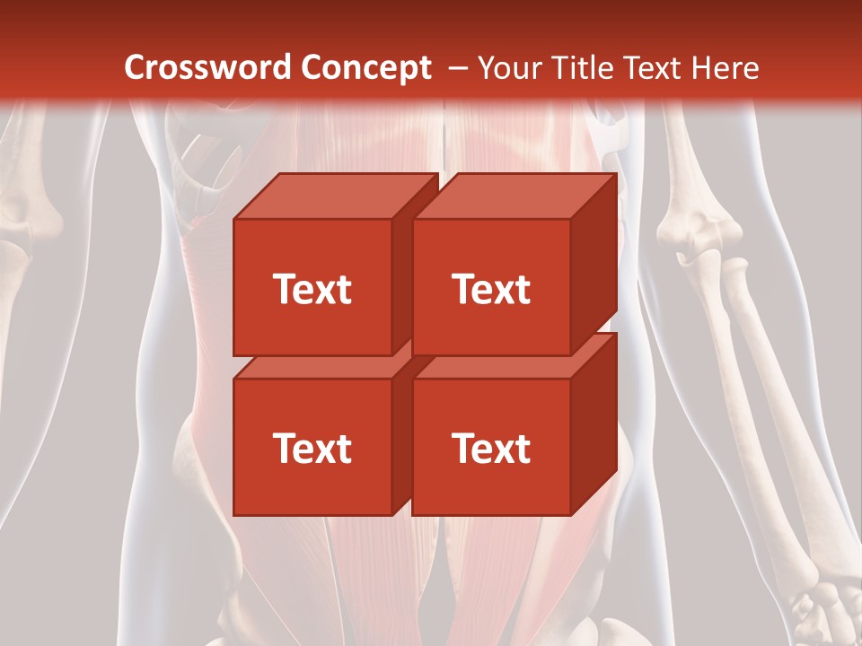Sixpack Abdominal Anatomy PowerPoint Template