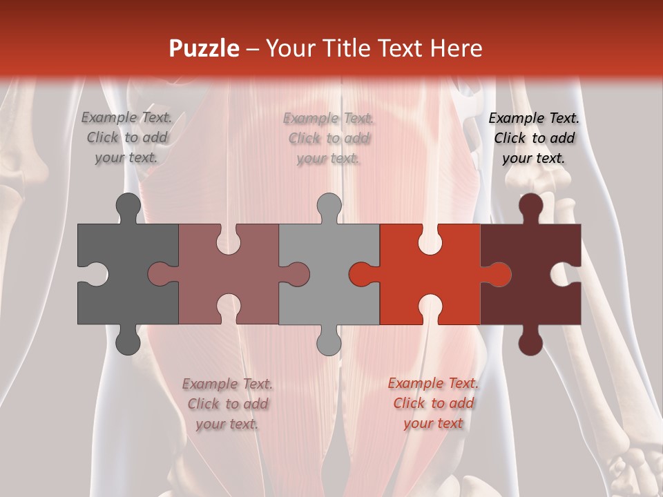 Sixpack Abdominal Anatomy PowerPoint Template
