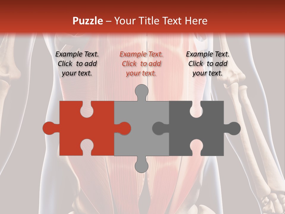 Sixpack Abdominal Anatomy PowerPoint Template