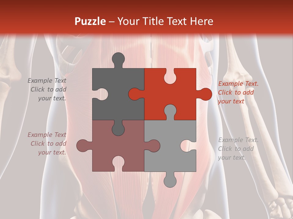 Sixpack Abdominal Anatomy PowerPoint Template