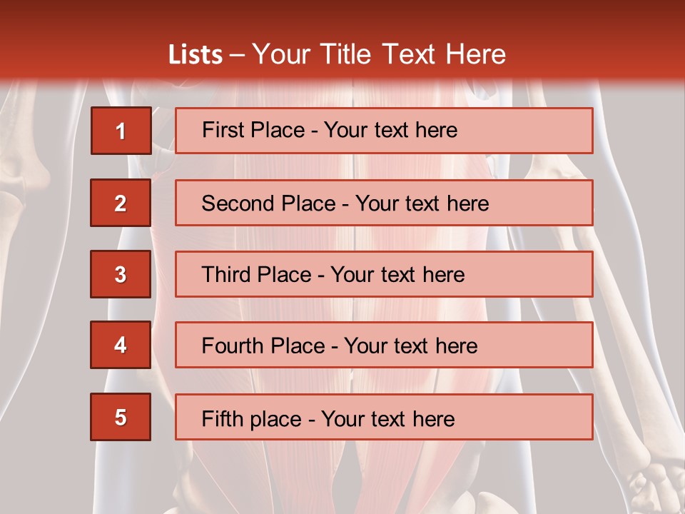 Sixpack Abdominal Anatomy PowerPoint Template