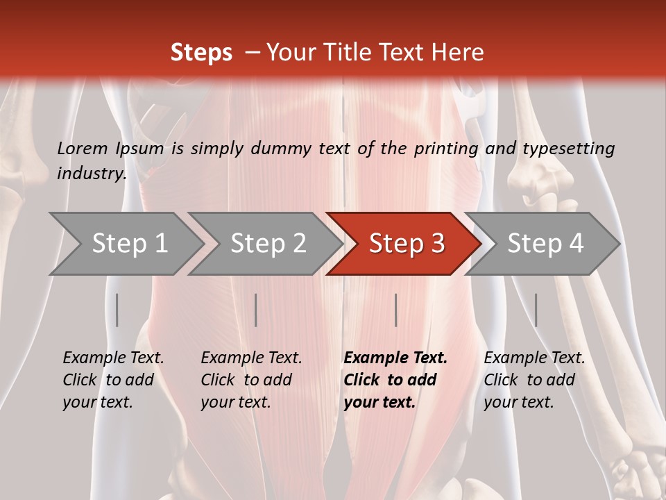 Sixpack Abdominal Anatomy PowerPoint Template