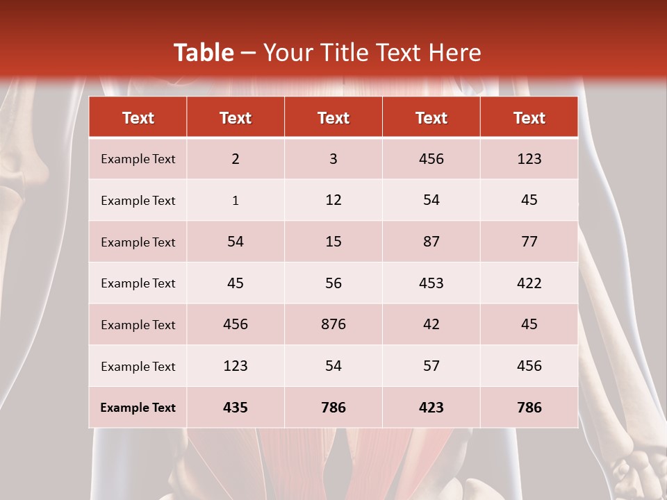 Sixpack Abdominal Anatomy PowerPoint Template