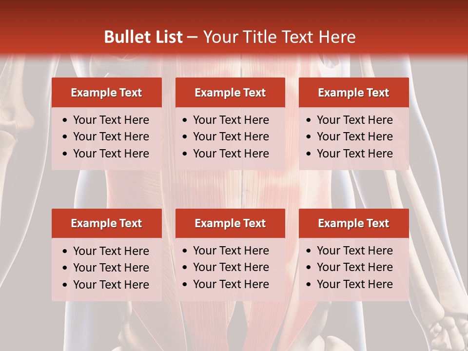 Sixpack Abdominal Anatomy PowerPoint Template