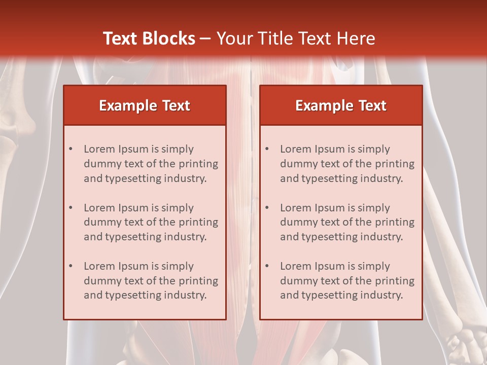 Sixpack Abdominal Anatomy PowerPoint Template