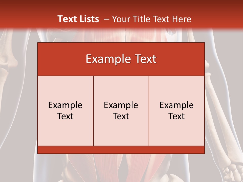 Sixpack Abdominal Anatomy PowerPoint Template