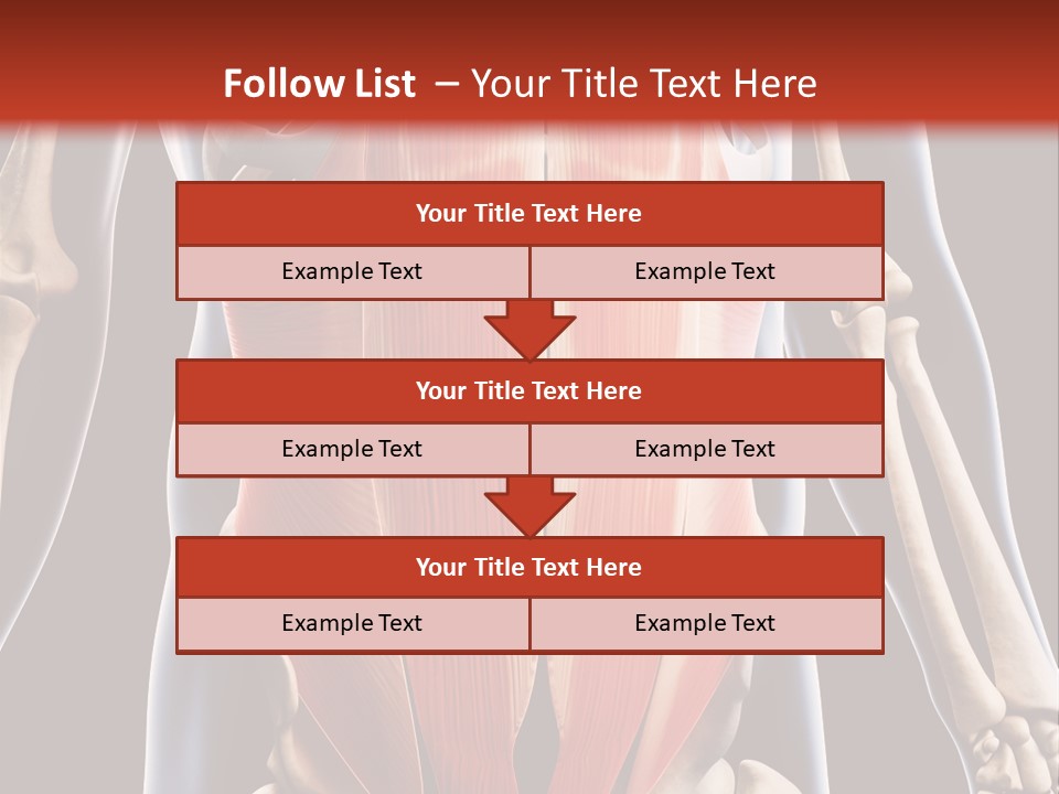 Sixpack Abdominal Anatomy PowerPoint Template