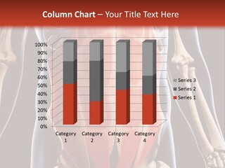 Sixpack Abdominal Anatomy PowerPoint Template