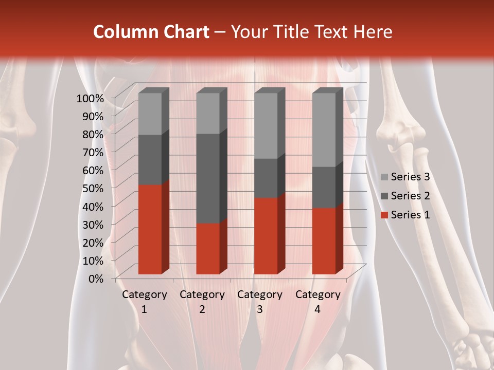 Sixpack Abdominal Anatomy PowerPoint Template