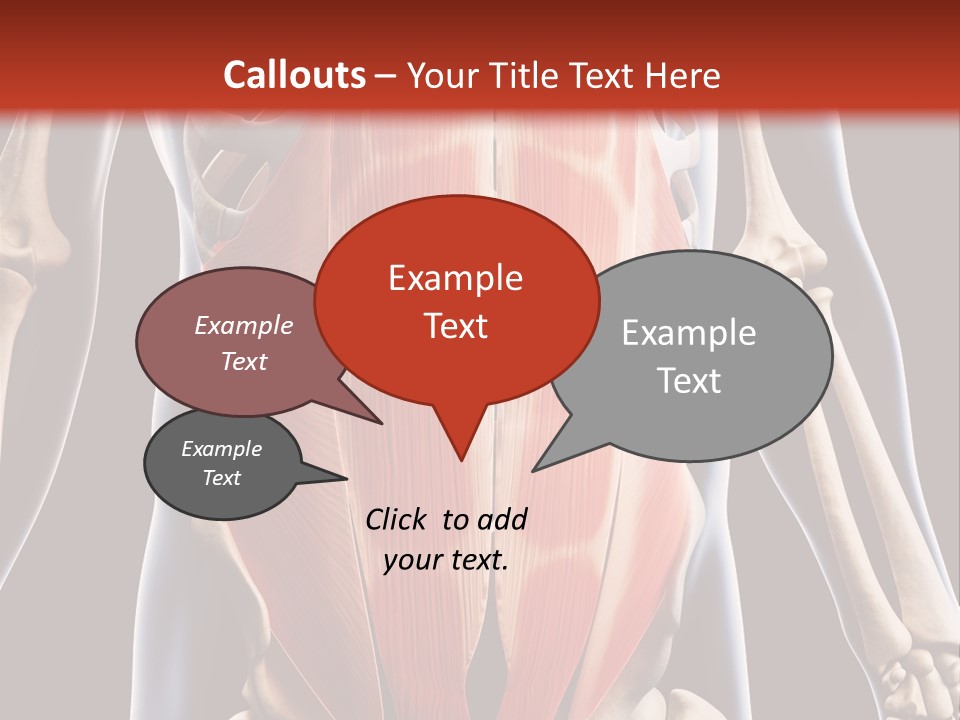 Sixpack Abdominal Anatomy PowerPoint Template
