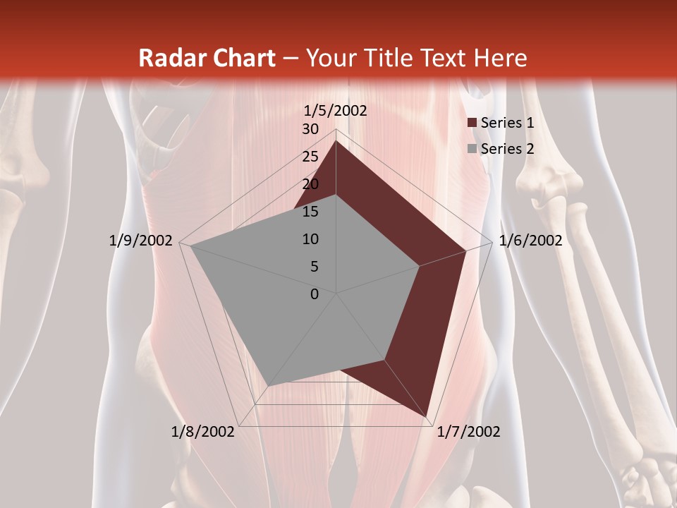 Sixpack Abdominal Anatomy PowerPoint Template