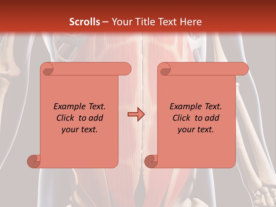 Sixpack Abdominal Anatomy PowerPoint Template