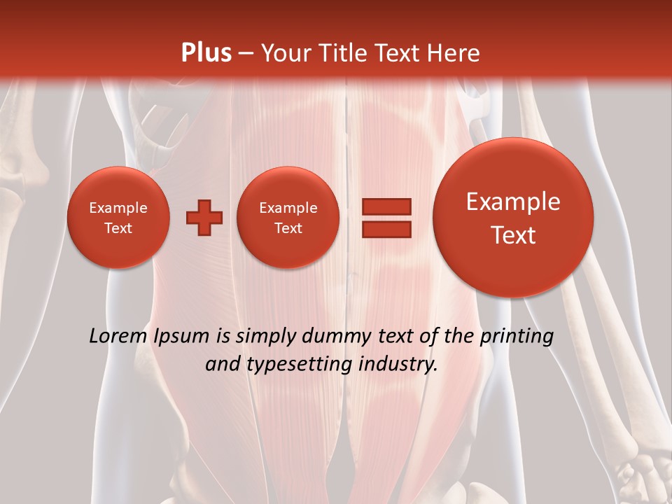 Sixpack Abdominal Anatomy PowerPoint Template