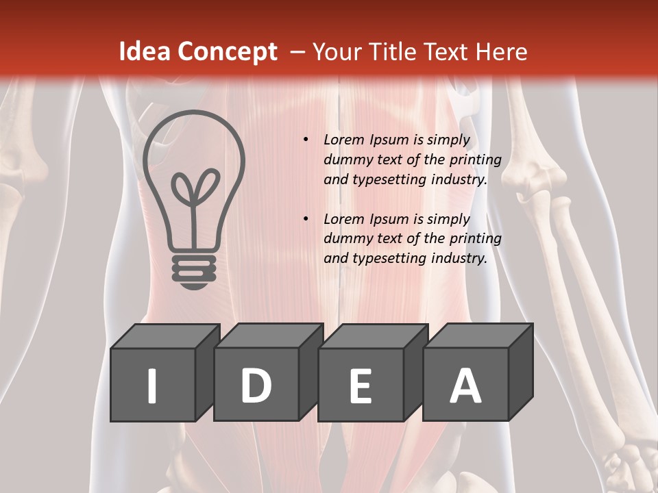 Sixpack Abdominal Anatomy PowerPoint Template