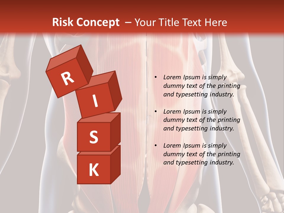 Sixpack Abdominal Anatomy PowerPoint Template