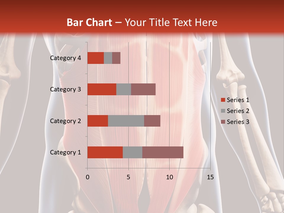 Sixpack Abdominal Anatomy PowerPoint Template