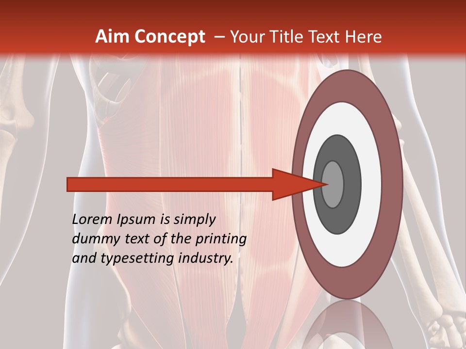 Sixpack Abdominal Anatomy PowerPoint Template