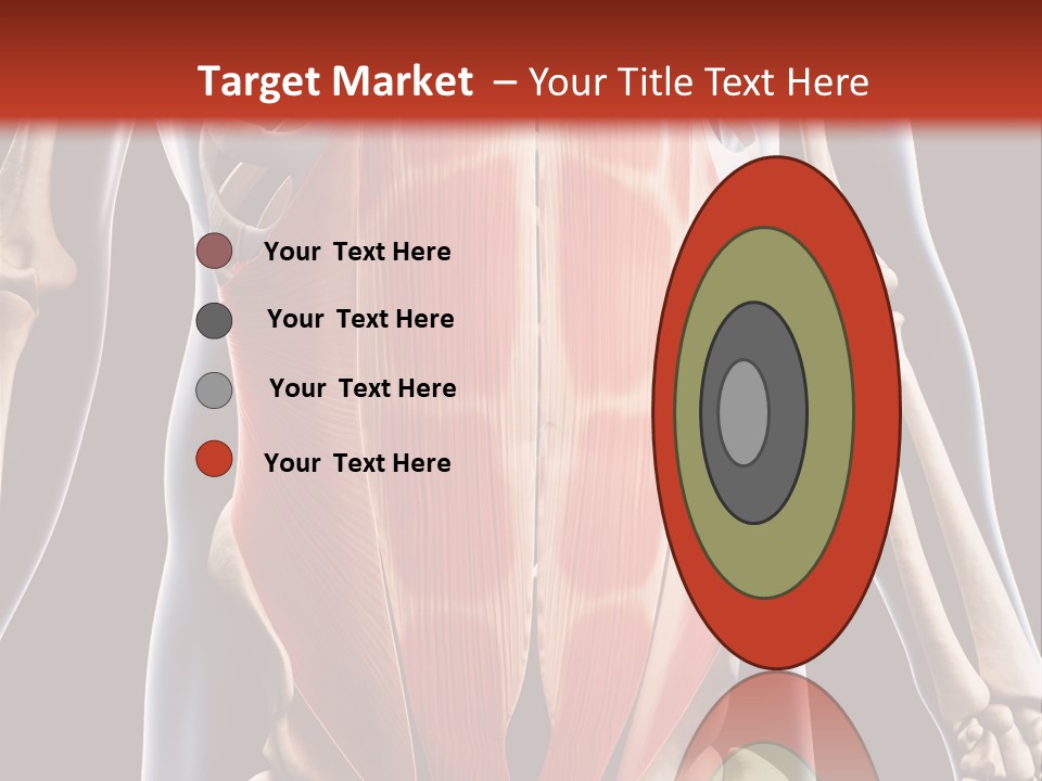 Sixpack Abdominal Anatomy PowerPoint Template