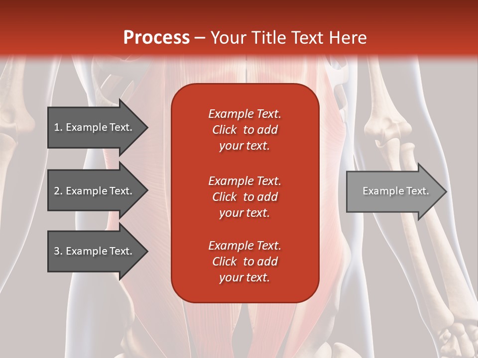 Sixpack Abdominal Anatomy PowerPoint Template