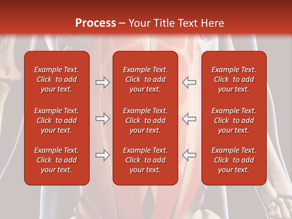 Sixpack Abdominal Anatomy PowerPoint Template