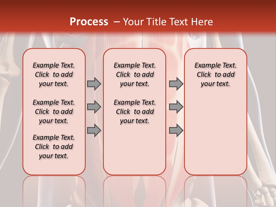 Sixpack Abdominal Anatomy PowerPoint Template